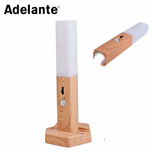 MOTION SENSOR LED LIGHT